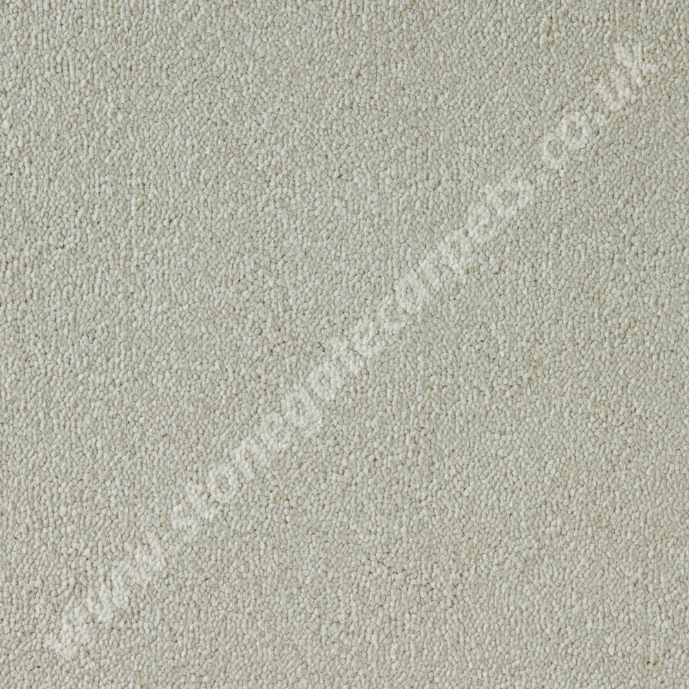 Westex Carpets Elysian Velvet, Celestial Quality, Colour - Abalone