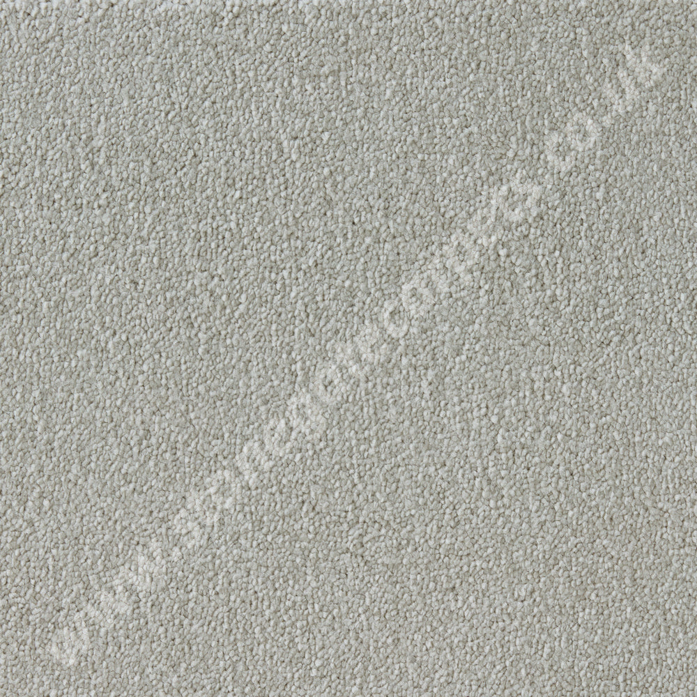 Westex Carpets Elysian Velvet, Celestial Quality, Colour - Canvas