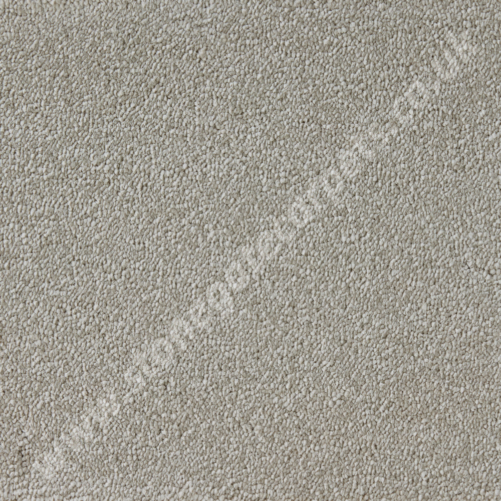 Westex Carpets Elysian Velvet, Celestial Quality, Colour - Meadow Mist
