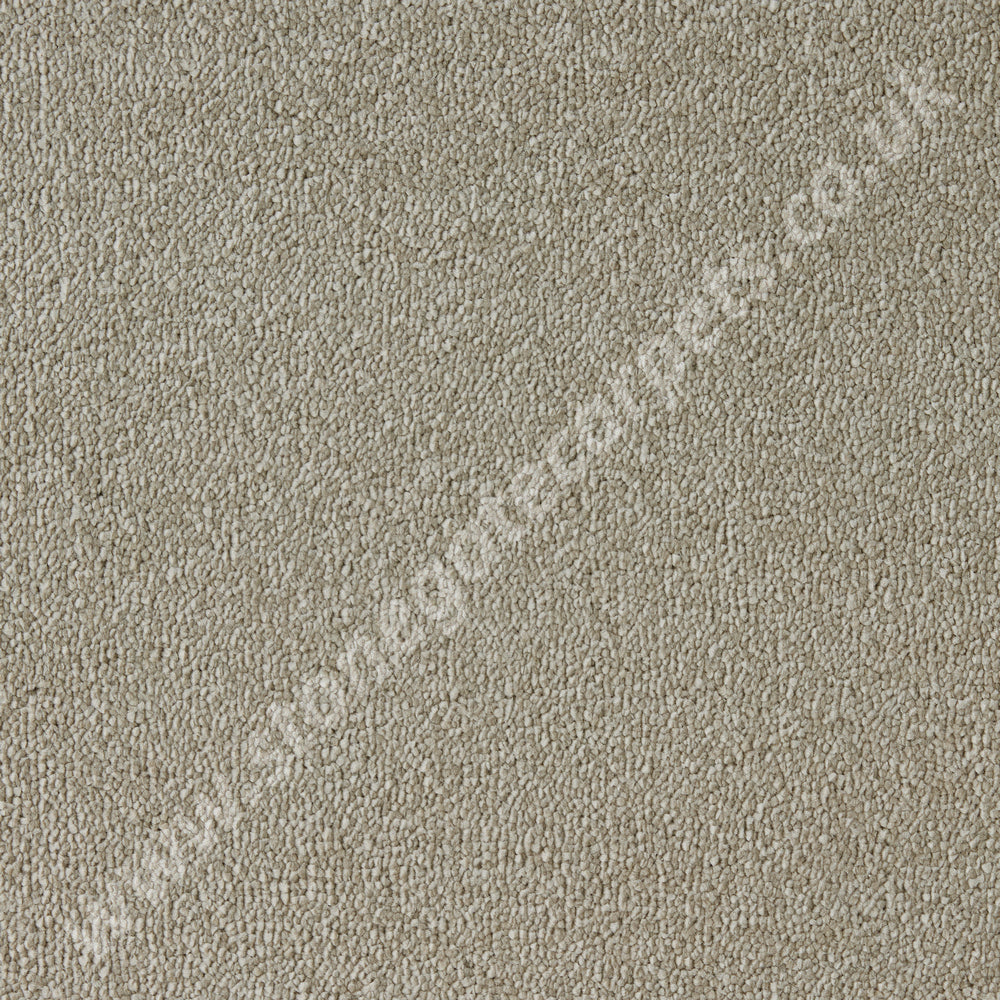 Westex Carpets Elysian Velvet, Celestial Quality, Colour - Travertine