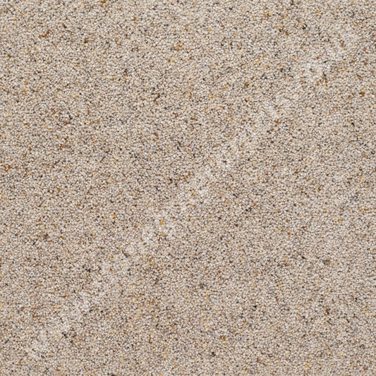 Penthouse Carpets Crofter Oat Cake