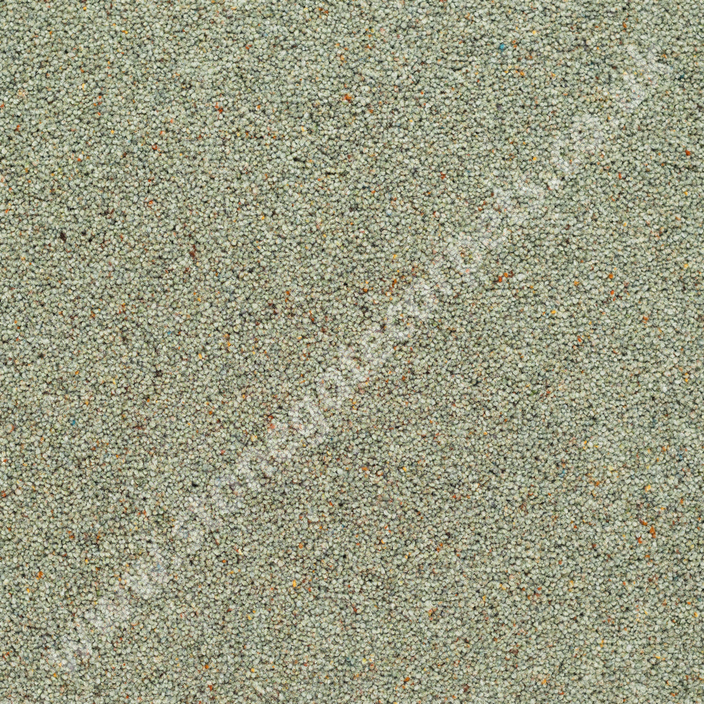 Penthouse Carpets Crofter Sedge