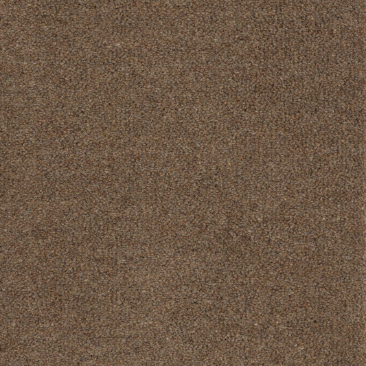 Brintons Carpets Purely Natural Chroma Wentworth Brown (per M²)
