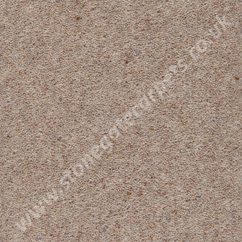 Silver Birch - Moorland - Axminster Carpets