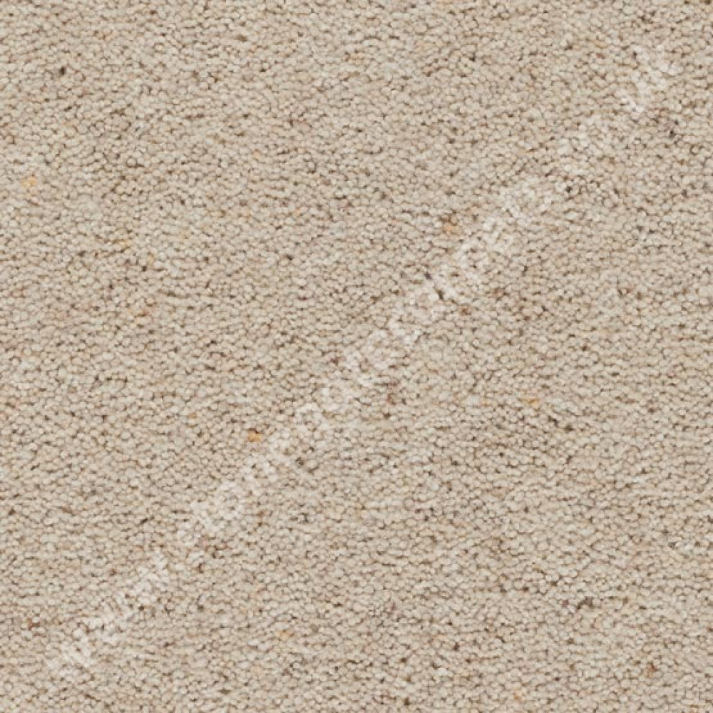 Snowdrop - Moorland - Axminster Carpets