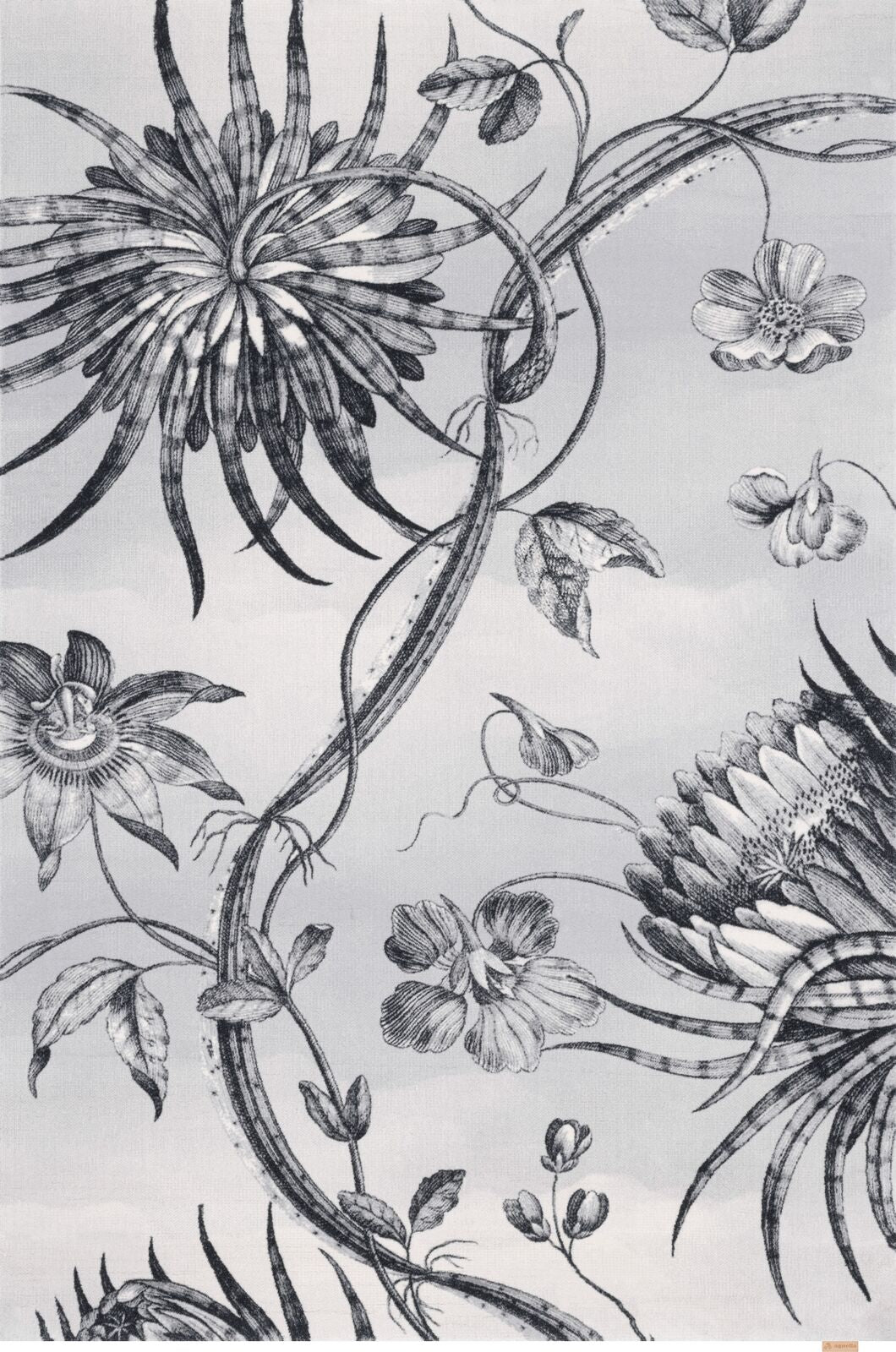 Agnella Rugs Design Discoveries V&A Collection TALWIN Grey (Calisia Quality) - Free Delivery