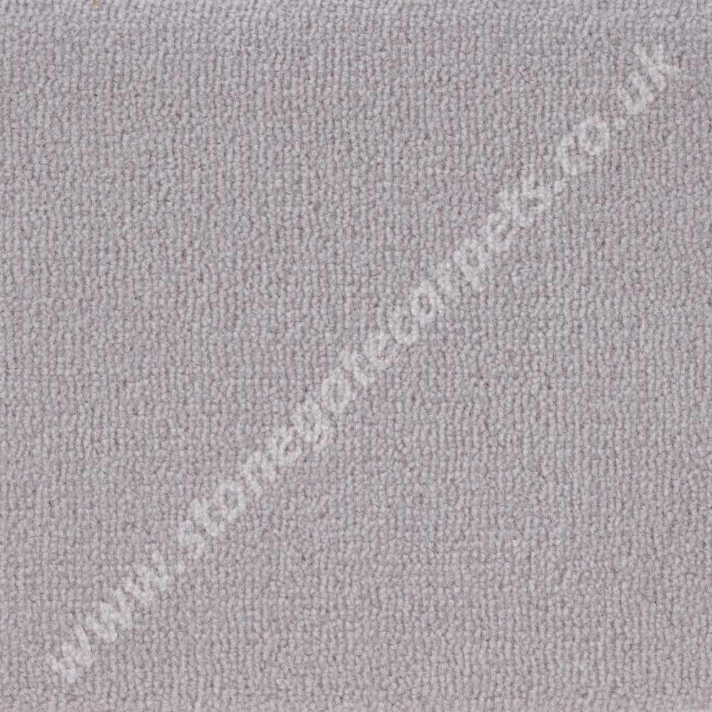 Westex Carpets Fired Earth, Wiske Velvet, Colour - Masilla
