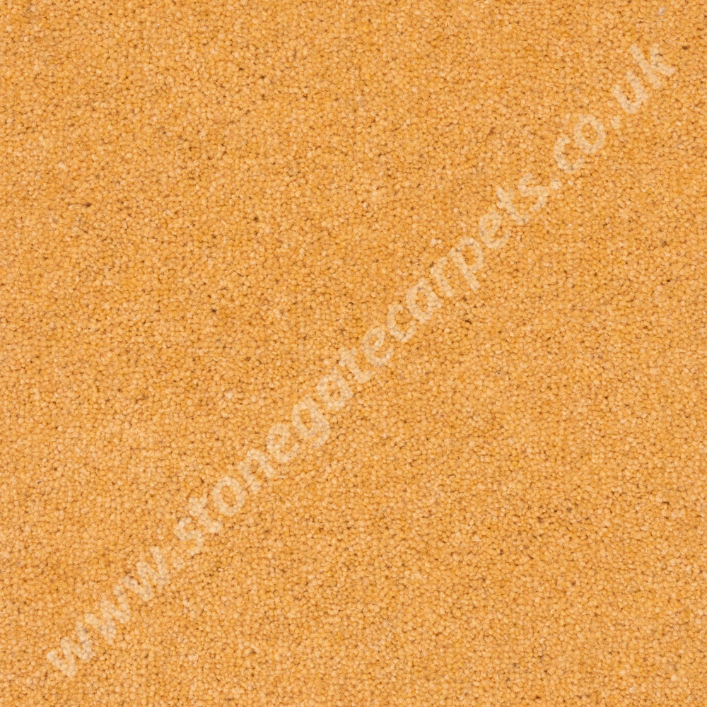 Penthouse Carpets Prism Amber Carpet