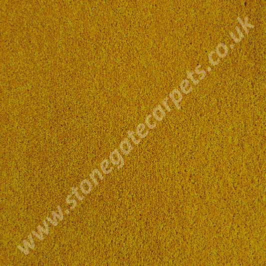 Penthouse Carpets Stateside Goldsboro Carpet