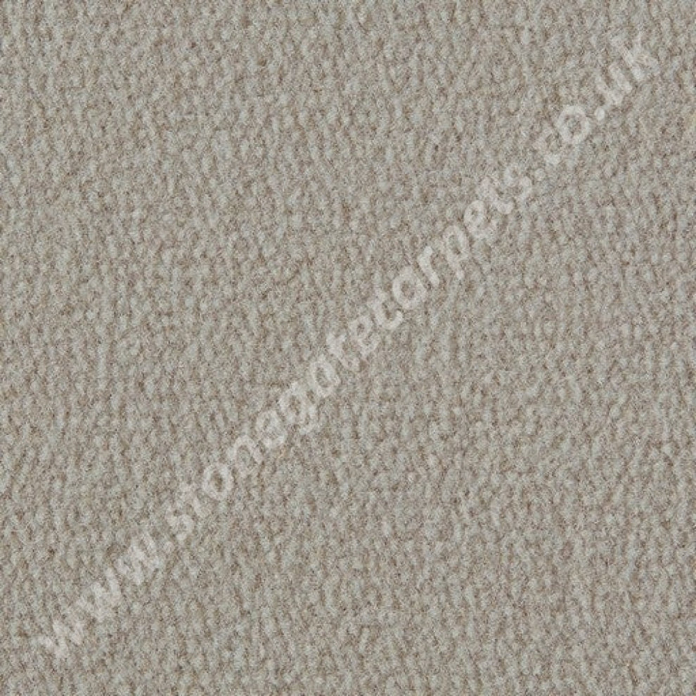 Westex Carpets Exquisite Velvet Latte Stonegate Carpets