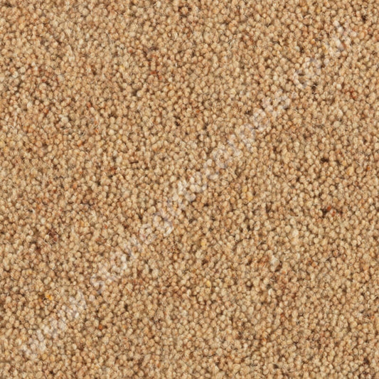 Penthouse Carpets Carlton Arrowroot 10124