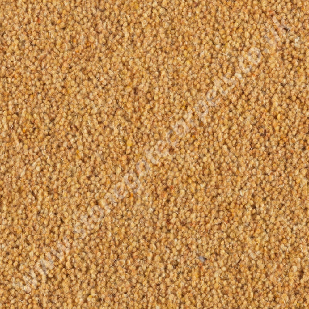 Penthouse Carpets Carlton Cornhusk 10125