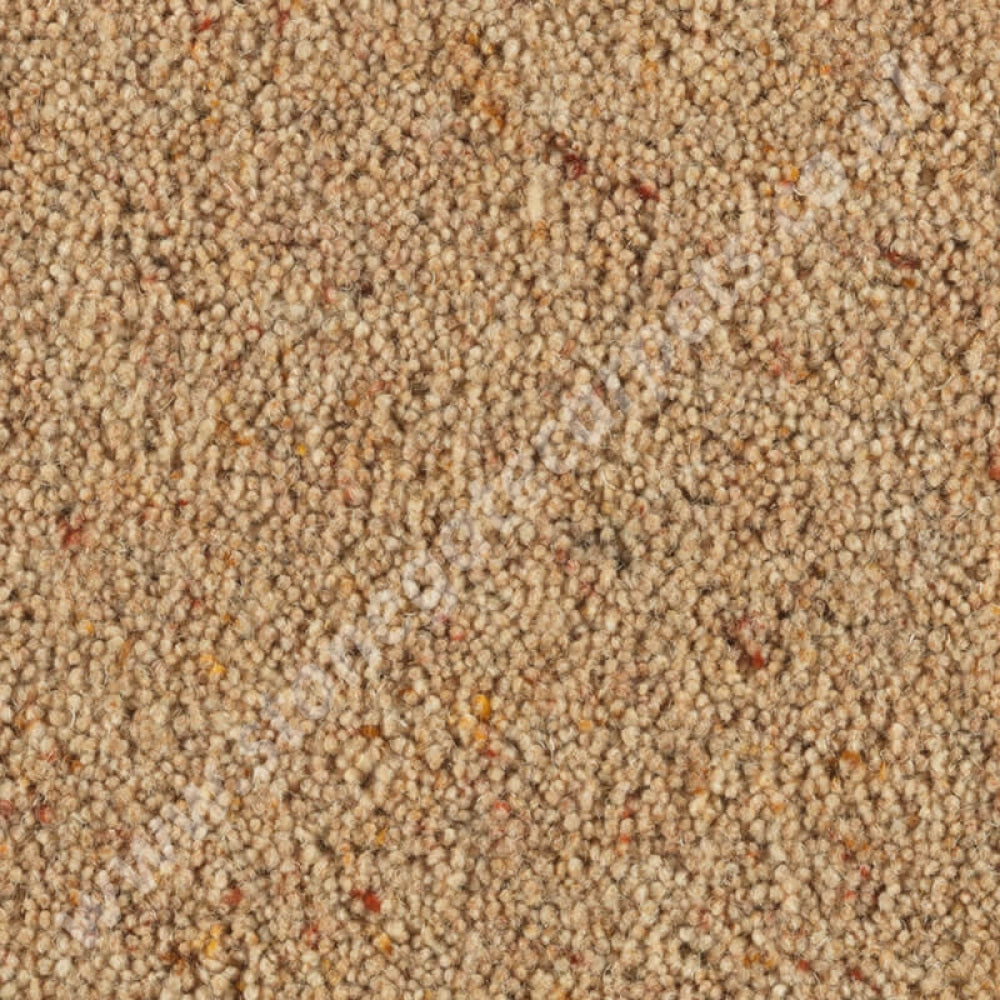 Penthouse Carpets Carlton Oatmeal 10129