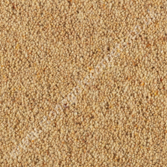 Penthouse Carpets Carlton Organza 10123