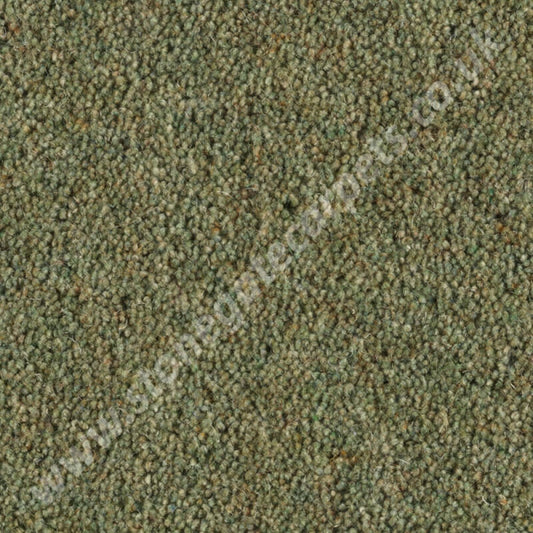 Penthouse Carpets Carlton Palm Leaf 10139