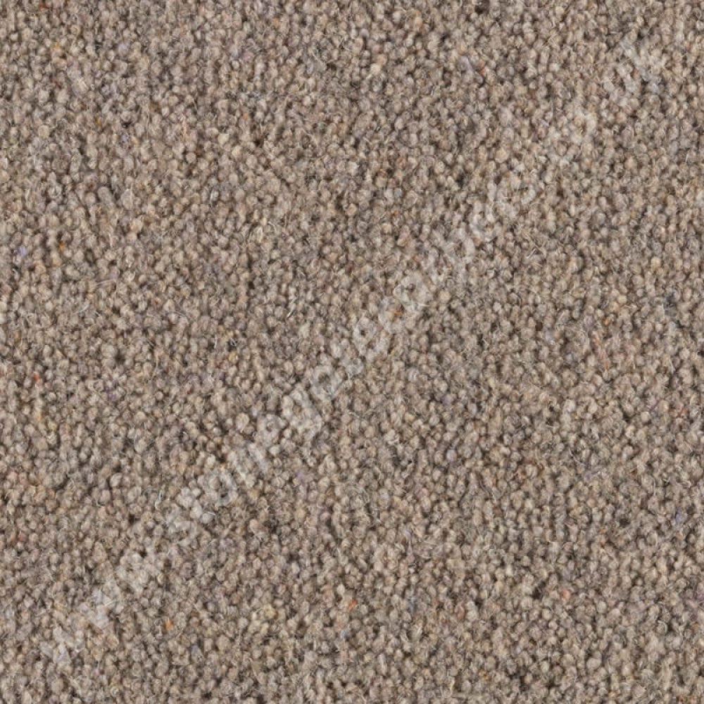 Penthouse Carpets Carlton Squirrel 10135
