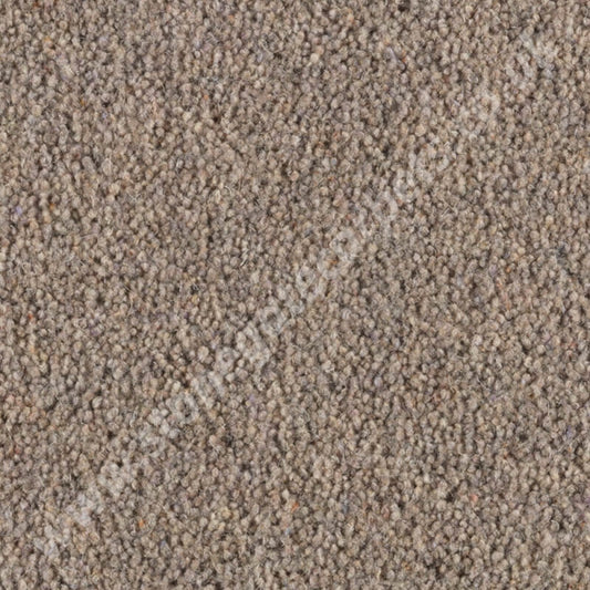 Penthouse Carpets Carlton Squirrel 10135