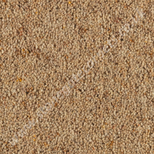 Penthouse Carpets Carlton Woodrush 10130