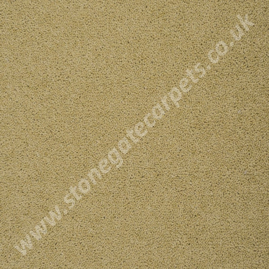 Penthouse Carpets Colorado Brookside
