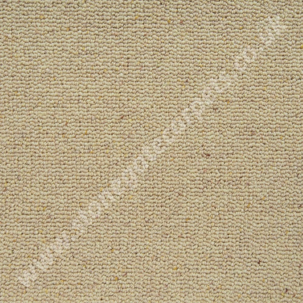 Penthouse Carpets Crofter Loop Collection Country Cream (Per M²) Carpet