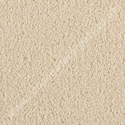 Penthouse Carpets Cumbrian Twist Buttermere 10146