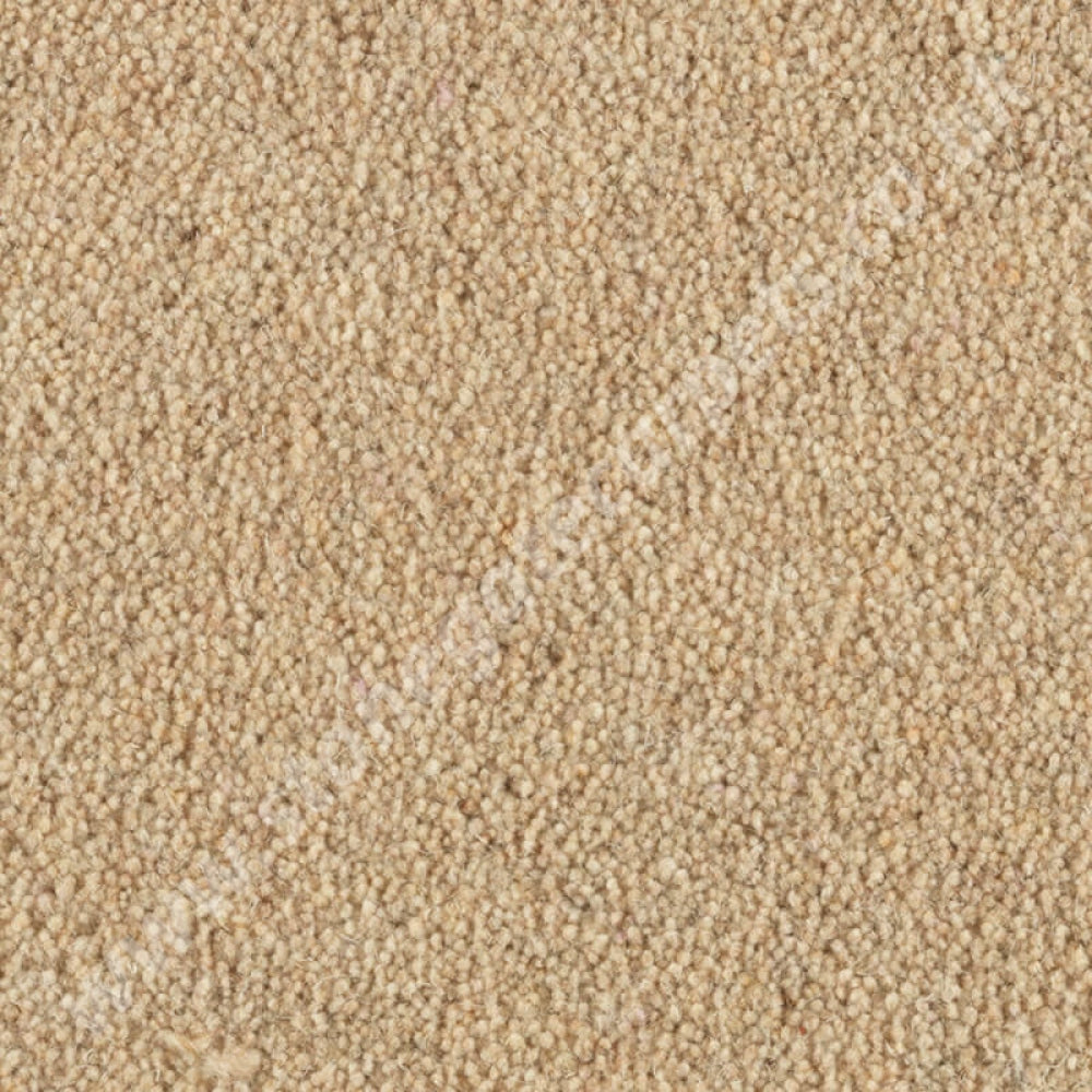 Penthouse Carpets Cumbrian Twist Fairfield 10148