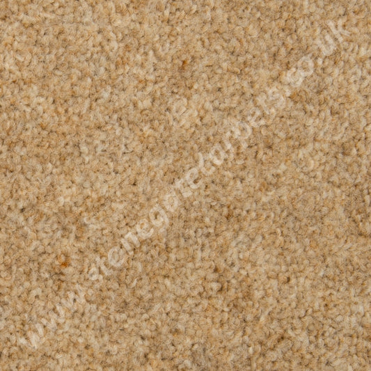 Penthouse Carpets Esprit Nouveau Pegasus (Per M²) Carpet