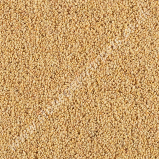 Penthouse Carpets Pentwist Colour Buttercup 10089