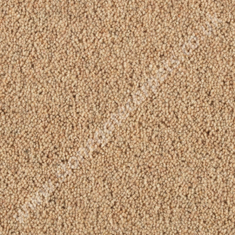 Penthouse Carpets Pentwist Natural Calico 10022