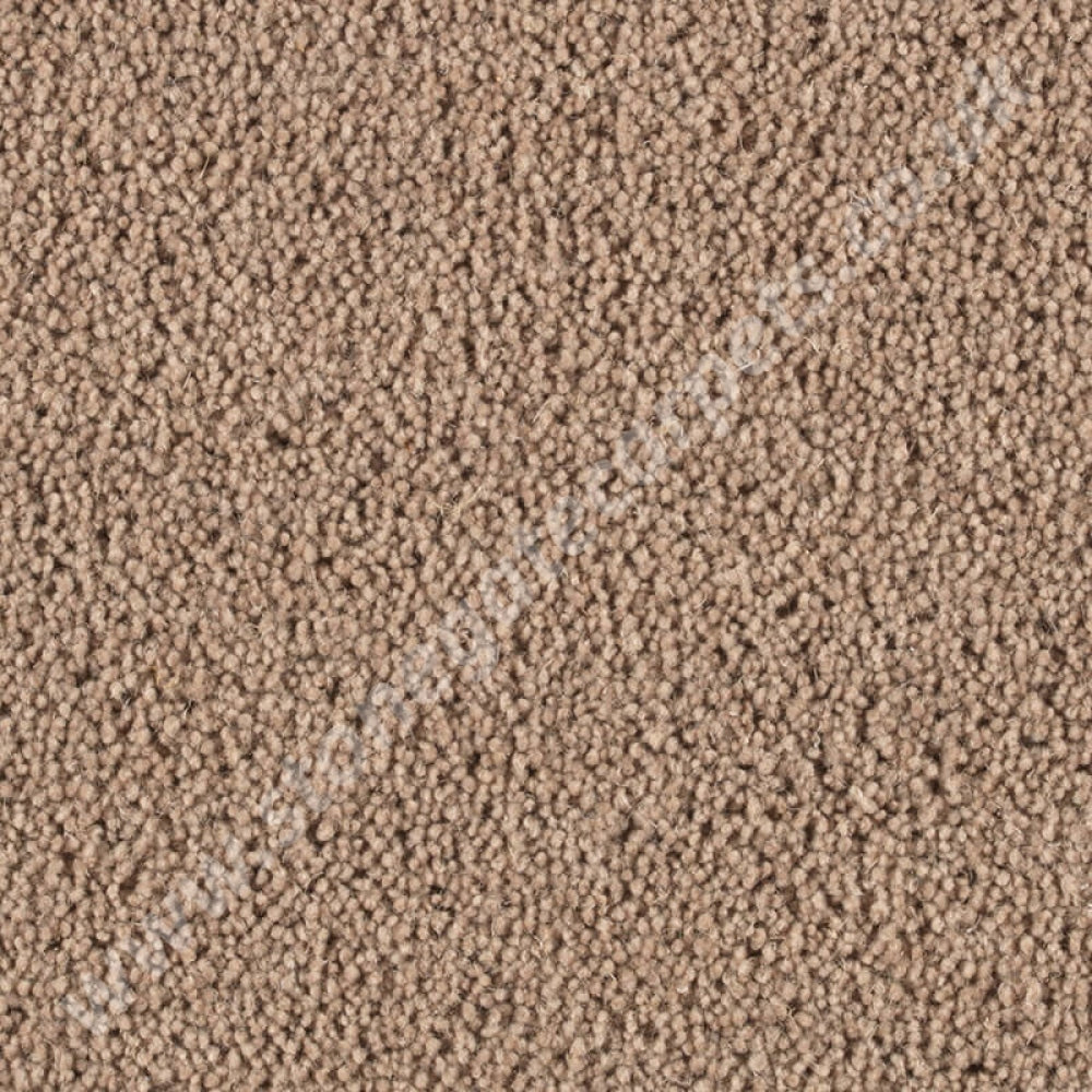 Penthouse Carpets Pentwist Natural Cappuccino 10013
