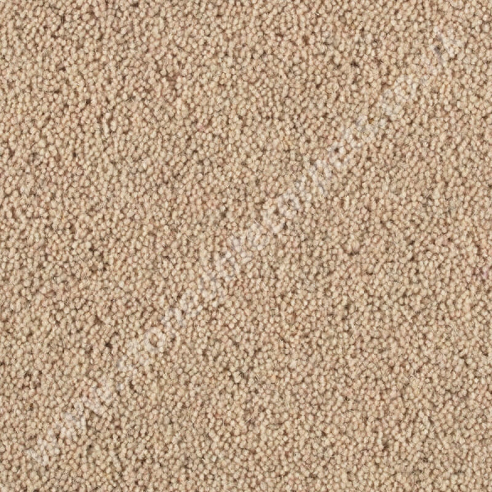 Penthouse Carpets Pentwist Natural Champagne 10016