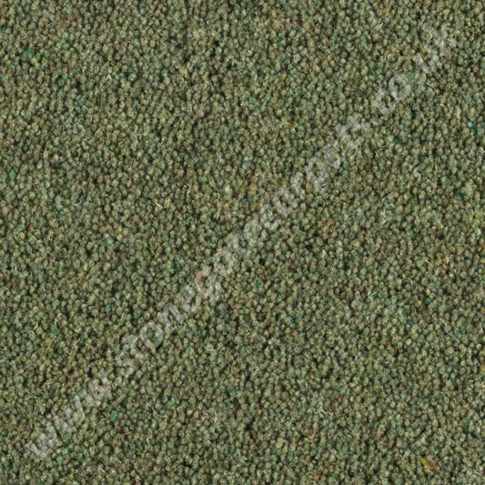Penthouse Carpets Pentwist Colour Glade 10109