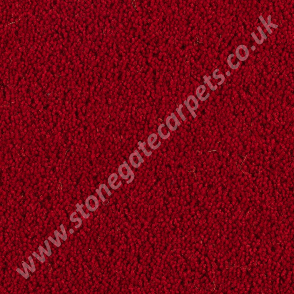 Penthouse Carpets Pentwist Colour Huntsman 10103