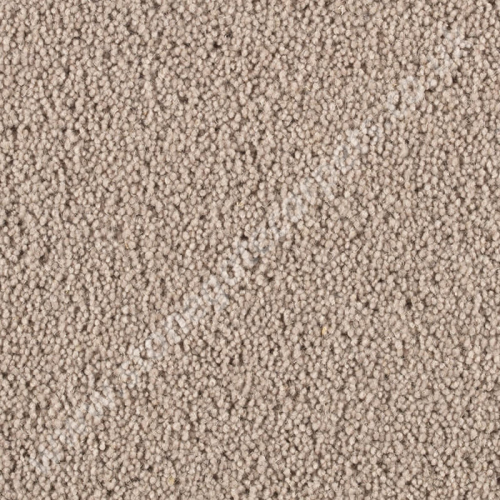 Penthouse Carpets Pentwist Natural Moleskin 10008