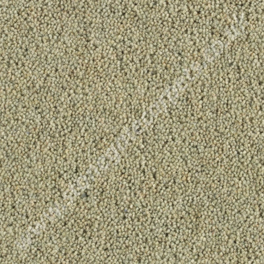 Penthouse Carpets Pentwist Colour Orchard 10108