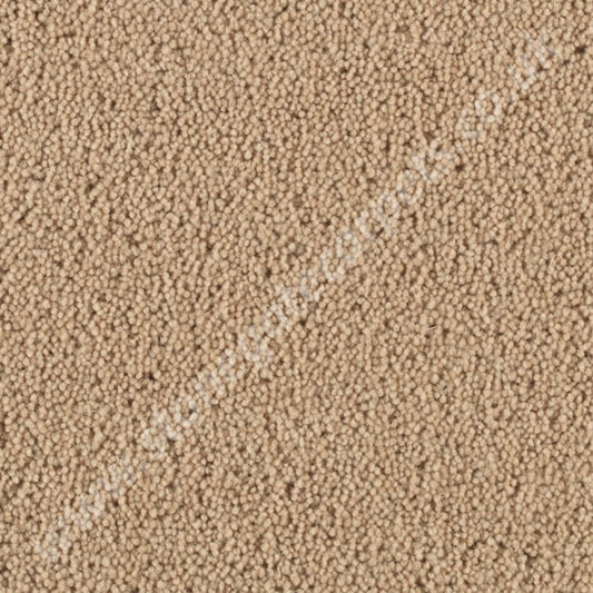 Penthouse Carpets Pentwist Natural Oyster 10020