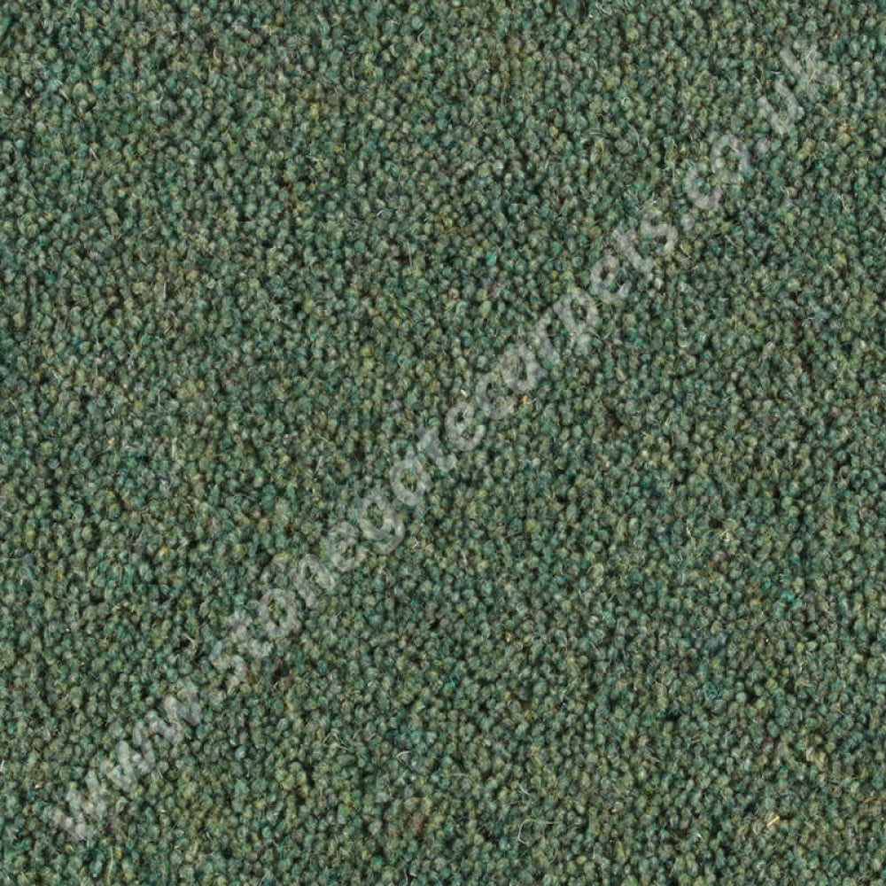 Penthouse Carpets Pentwist Colour Parsley 10110