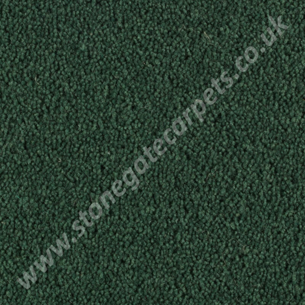 Penthouse Carpets Pentwist Colour Rainforest 10111