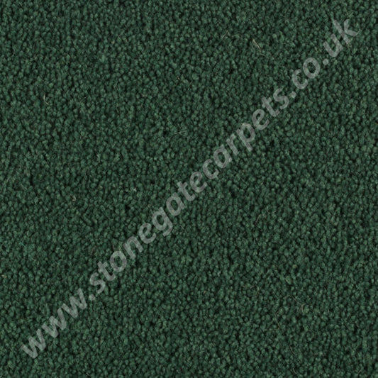 Penthouse Carpets Pentwist Colour Rainforest 10111