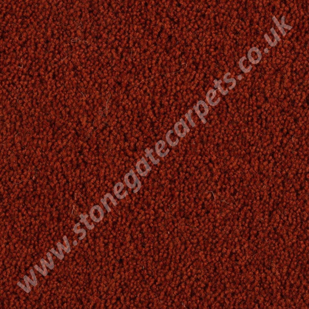 Penthouse Carpets Pentwist Colour Russet 10098