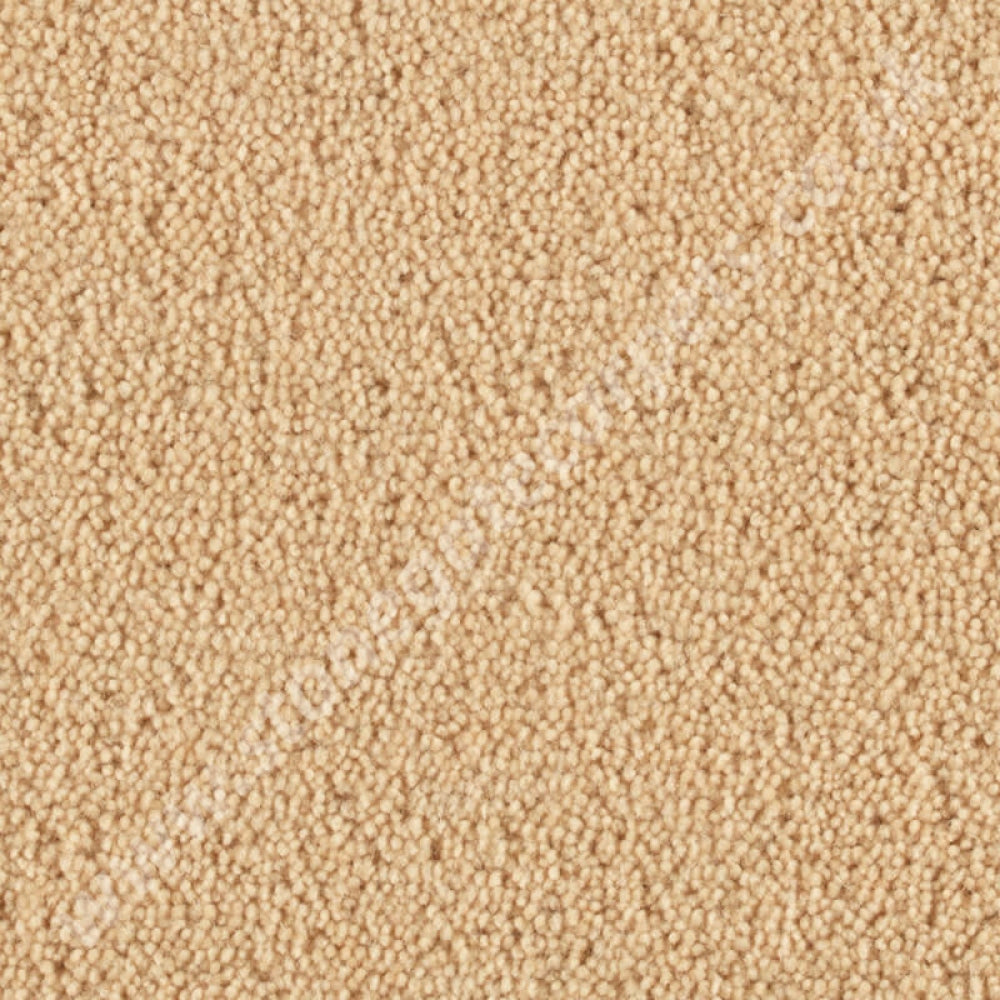 Penthouse Carpets Pentwist Colour Sandcastle 10093