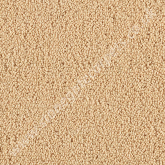 Penthouse Carpets Pentwist Colour Sandcastle 10093