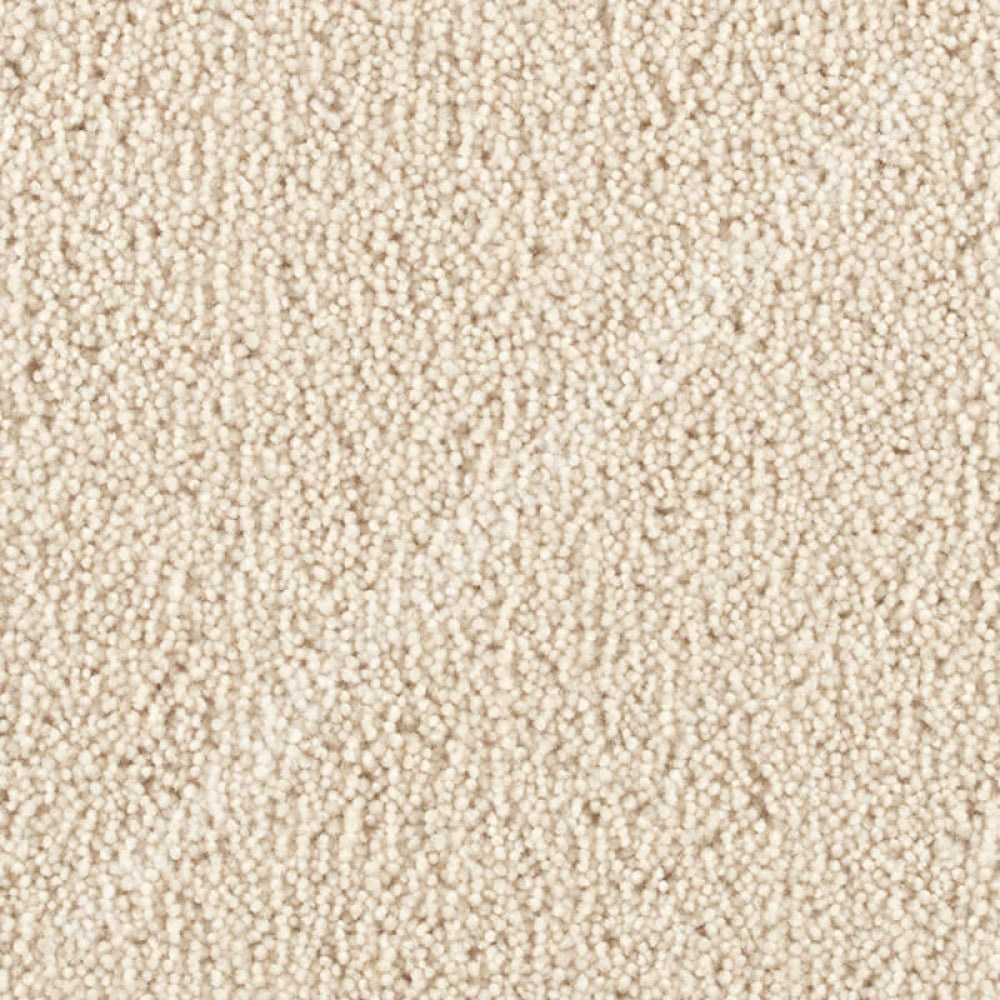 Penthouse Carpets Pentwist Natural Thistledown 10011