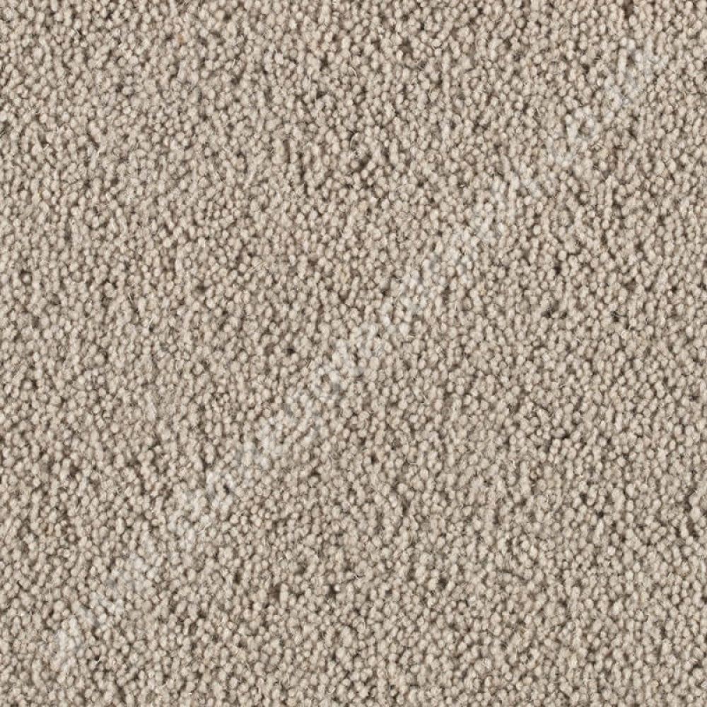 Penthouse Carpets Pentwist Natural Twilight 10009