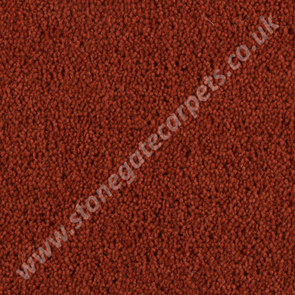 Penthouse Carpets Pentwist Colour Umber 10097