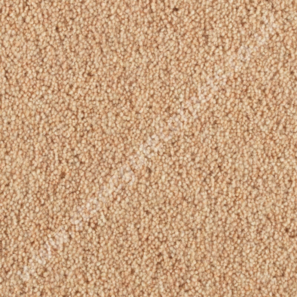 Penthouse Carpets Pentwist Natural Vanilla 10023