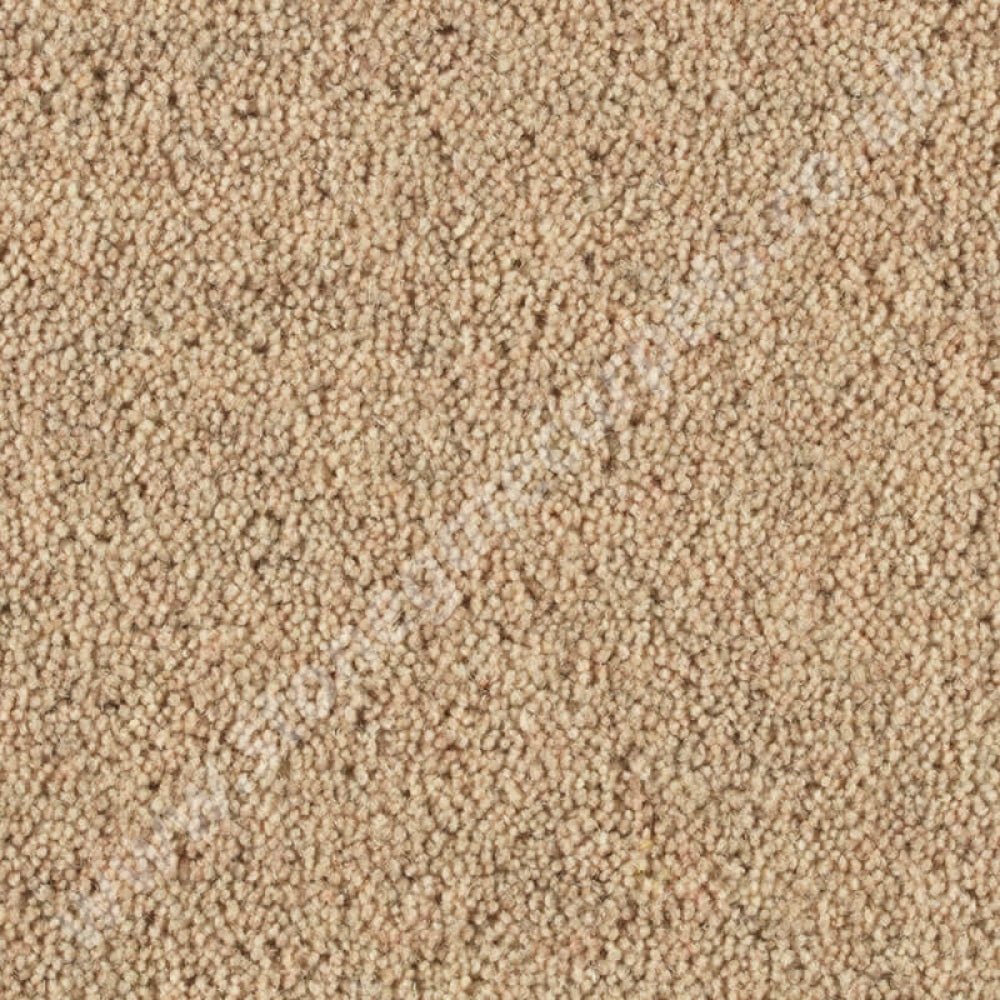 Penthouse Carpets Pentwist Natural Wicker 10023
