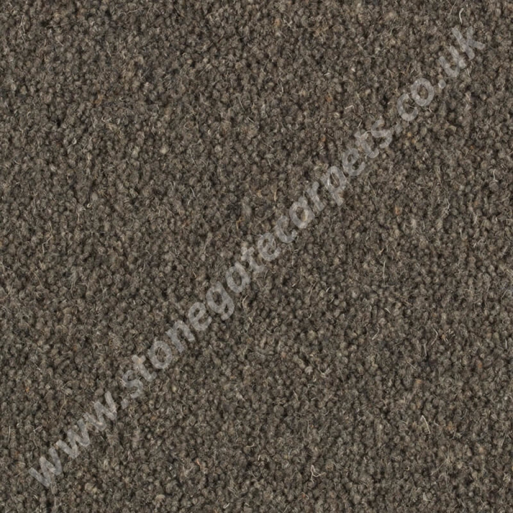 Penthouse Carpets Prism Pumice 10154