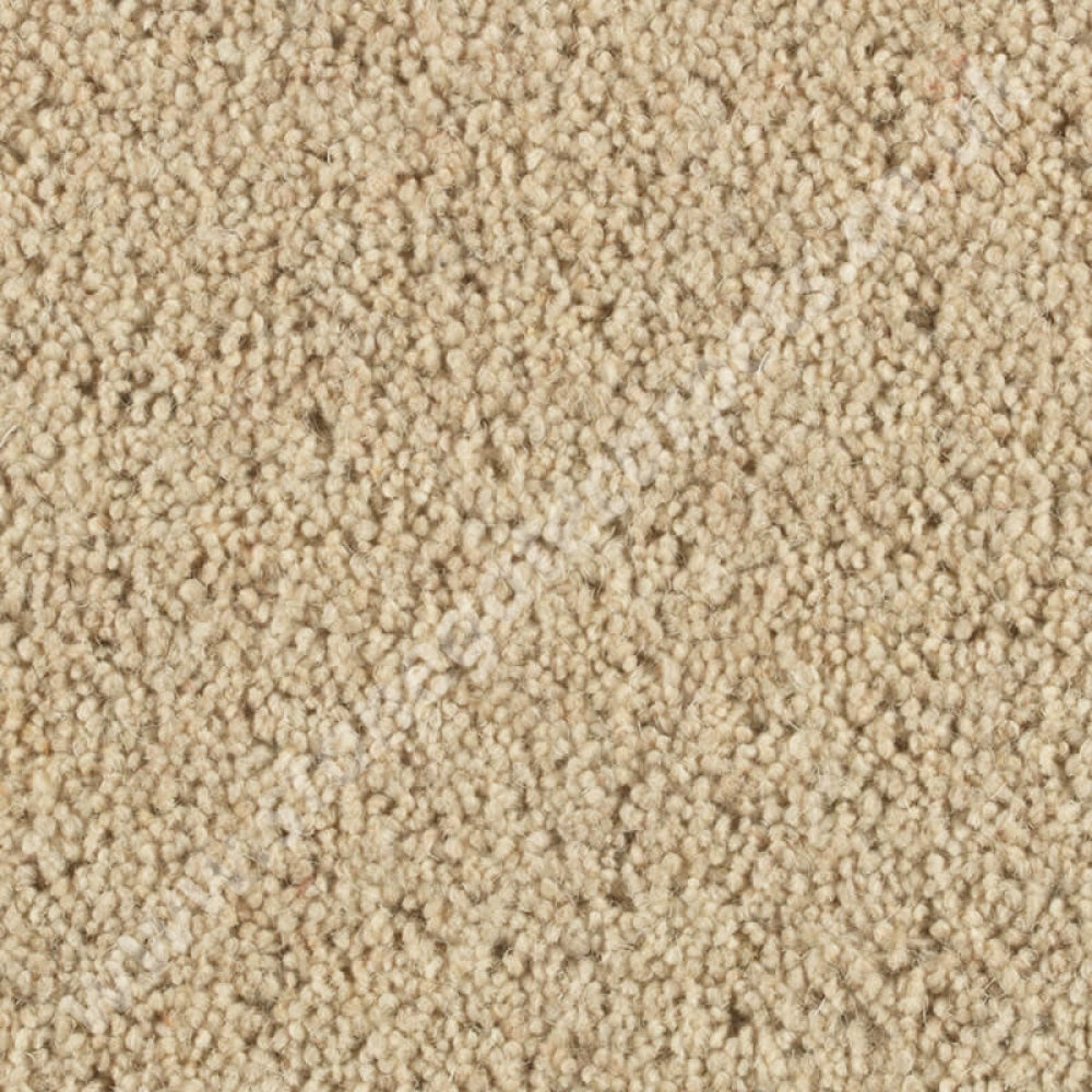Penthouse Carpets Quartz Chalk 10097
