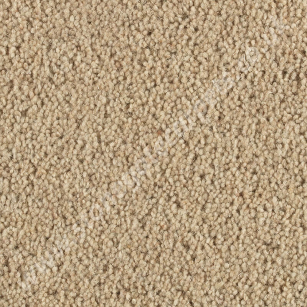 Penthouse Carpets Quartz Lorimar 10099
